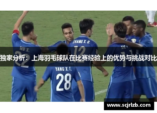 独家分析：上海羽毛球队在比赛经验上的优势与挑战对比