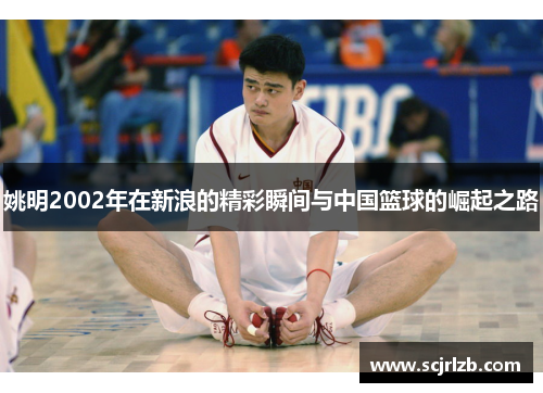 姚明2002年在新浪的精彩瞬间与中国篮球的崛起之路